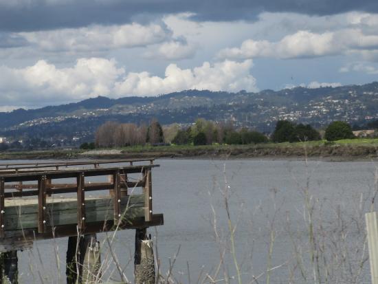 Martin Luther King Jr. Regional Shoreline